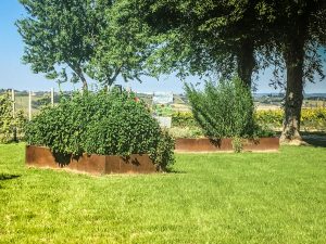 bordure giardino con piante aromatiche